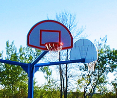 
Sports and Fitness
